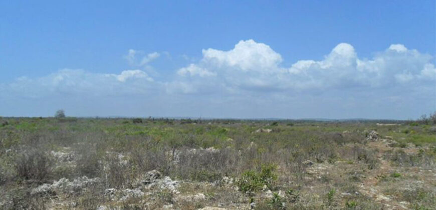 Roka beach, Chumani